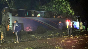গোপালগঞ্জে গাছ ফেলে মহাসড়ক অবরোধের চেষ্টা
