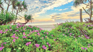 পর্যটকদের জন্য আজ সেন্টমার্টিন খুললেও চলবে না জাহাজ