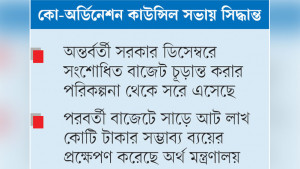 চলতি বাজেট সংশোধন  করবে নির্বাচিত সরকার