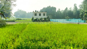 ফসলি মাঠ মাড়িয়ে ক্লিনিকে যাতায়াত