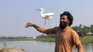 ডাক দিলেই ছুটে  আসে বক