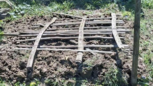 সিরাজগঞ্জে কবরস্থান থেকে ১৬টি কঙ্কাল চুরি