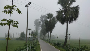 শরতের সকালে কুয়াশার চাদর, শীতের আগমনী বার্তা