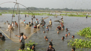 নান্দাইলে ‘হাইত’ উৎসবে মাছ শিকারির ঢল