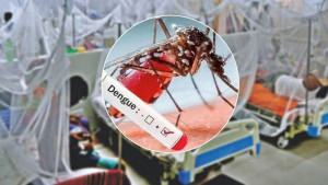 ডেঙ্গুতে মৃত্যু আড়াইশ ছাড়াল