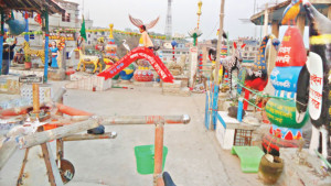 বাড়ির ছাদে কৃত্রিম  চিড়িয়াখানা