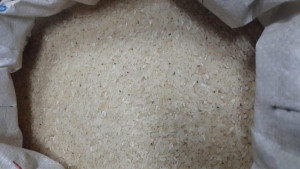 পোকাধরা-দুর্গন্ধযুক্ত চাল বিক্রি  টিসিবির ডিলারের, ক্ষোভ