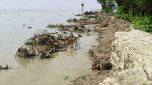 মেঘনার ভাঙনে দুই শতাধিক ঘরবাড়ি স্থাপনা বিলীন