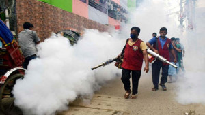 মশক নিধন কার্যক্রম স্থবির