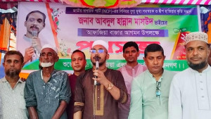 নিজের নয়, দ্বীপের মানুষের ভাগ্য পরিবর্তনের জন্য এসেছি: হান্নান মাসউদ 