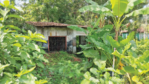ইসির পর্যবেক্ষক সংস্থার ঠিকানায় মিলল জঙ্গল, দোকান, বাড়ি