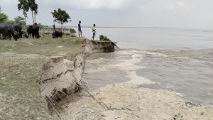পদ্মার ভাঙনে এক রাতেই বিলীন বিজিবি ক্যাম্পসহ বহু বাড়ি-ঘর
