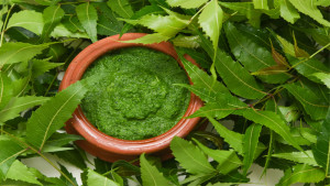 ত্বক ডিটক্সে সহায়ক নিম পাতা