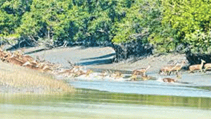 যেতে হবে টেকসই পর্যটনের পথে