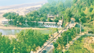 পরিবেশ ধ্বংস হয়েছে পর্যটন দাঁড়ায়নি