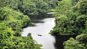 নিরুপম নারী নদী বৃক্ষ ও বন