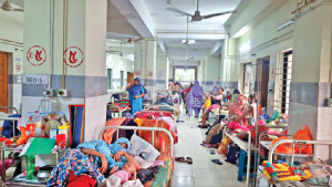 আক্রান্ত বেশি দুই  উপজেলায়, প্রথম  রোগী ঢাকার