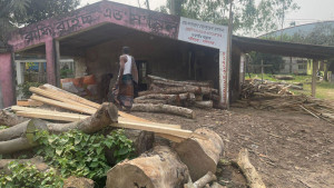 বন বিভাগের সীমানায় বন মারার কল