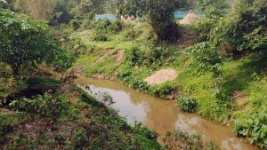 বালু লুটে বিপর্যস্ত ছড়া, ফসলি জমি