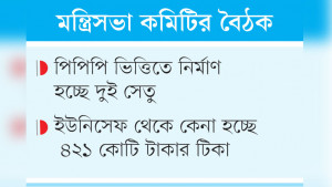 আরও ডিজেল ও টিকা কেনার অনুমোদন
