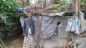 ঘর নয় যেন পাখির বাসা