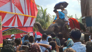 হাতির পিঠে বর, ঘোড়ার গাড়িতে কনে