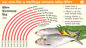 বৈশাখী উৎসবে ইলিশ নিয়ে বৈষম্য