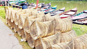 জলের কোলে বাঁশের কাব্য