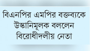 সংসদেও উত্তাপ, জামায়াতের বিরুদ্ধে চক্রান্তের অভিযোগ