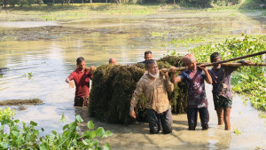 তিস্তা-ধরলার ‘ক্ষার’ এখন মাছের সাশ্রয়ী খাবার