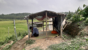 কষ্টের ফসল ঘরে তুলতে রাত জেগে পাহারা