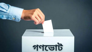 গণভোটের বৈধতা, রাজনৈতিক কৌশল এবং গণতান্ত্রিক ম্যান্ডেট 