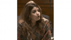 পাঁচই আগস্টের পর গঠিত সরকারের বিরুদ্ধে দুর্নীতির অভিযোগ উঠেছে: পররাষ্ট্র প্রতিমন্ত্রী