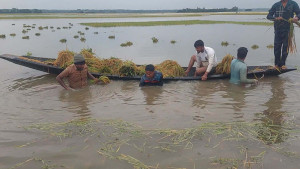 ‘এক রাইতের মেঘে সব আশা-ভরসা ভাসাইয়া নিছে’