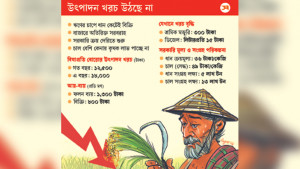 কষ্টের ধান দুঃখ ছড়াচ্ছে কৃষকের সংসারে
