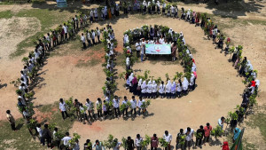 নাগেশ্বরীতে অরণ্যের সবুজ উৎসব