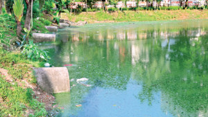 ২,৮২২ ভবনের পয়ঃবর্জ্য সরাসরি লেকে পড়ছে