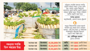 সবজি উৎপাদনে সমৃদ্ধ, সংরক্ষণে শূন্য