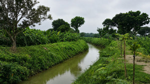 ১০ কিলোমিটার খাল খননে স্বস্তি