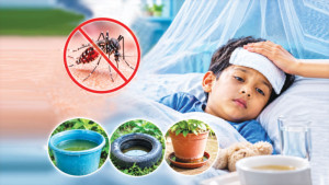 ডেঙ্গু জ্বর: যা জানা জরুরি