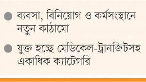 বাংলাদেশের ভিসা নীতিতে বড় পরিবর্তন, বাড়ছে শ্রেণি