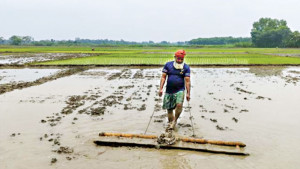 দোকানে সার সংকট, বাড়তি টাকা দিলে মেলে