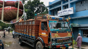 ৮ মাস পর হিলি বন্দর দিয়ে এলো তিন ট্রাক কাঁচা মরিচ, কমছে দাম