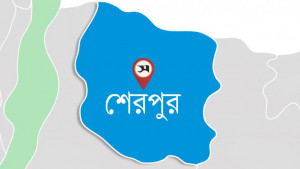 হত্যা মামলার সাক্ষীকে মেরে ঝুলিয়ে রাখার অভিযোগ