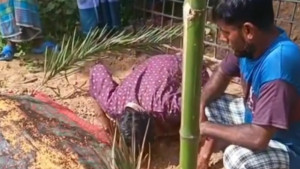 সাপের দংশনে মৃত নারীকে জীবিত করতে কবরের পাশে ঝাড়ফুঁক