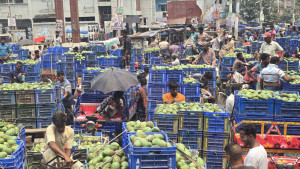 মৌসুম শেষেও জমজমাট আমের  বাজার, দামে খুশি কৃষক