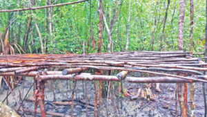 নিষেধাজ্ঞা কাগজেই, অভয়ারণ্যে শিকার