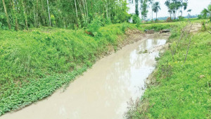 ভেকু দিয়ে কাজ করে বিলে শ্রমিকের নাম
