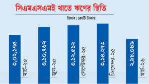 সিএমএসএমই খাতে ঋণ কমে গেছে