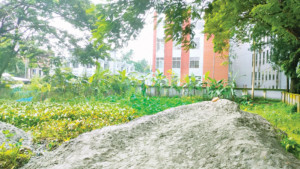 বরিশালে সরকারি পুকুর ভরাট